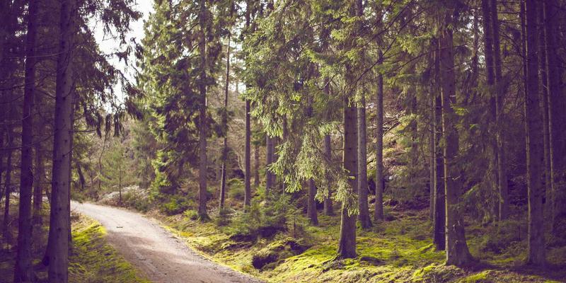 下一代防火墙（NGFW）实战评测：在真实威胁场景中，它如何守护你的数字边界？