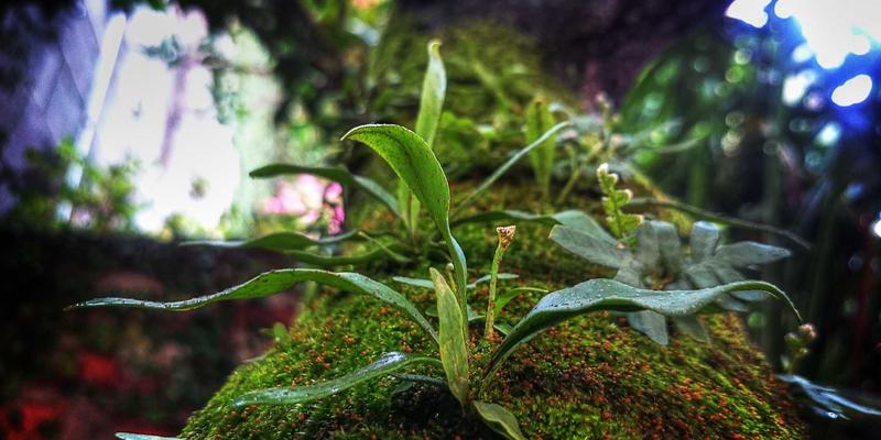 多云互联成本直降50%！深度解析云交换中心（IX）与云骨干网（CEN）的架构设计与实战策略