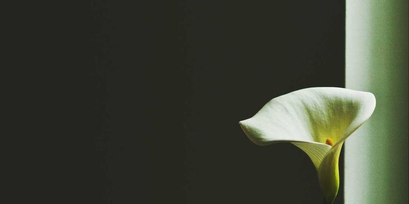 网络技术27：精选软件工具、技术博客与IT资源，打造你的数字竞争力