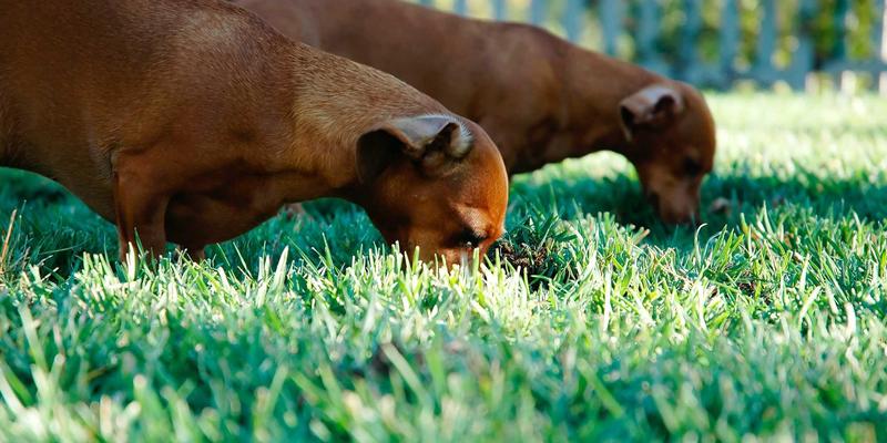 网络技术29:2024年编程开发者必须掌握的IT资源与技术博客指南