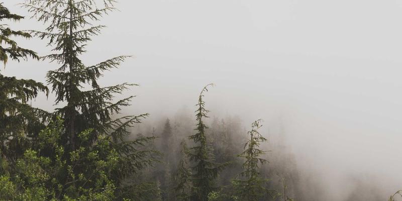 边缘计算与网络技术融合：解锁下一代创新应用场景的软件工具与实战资源